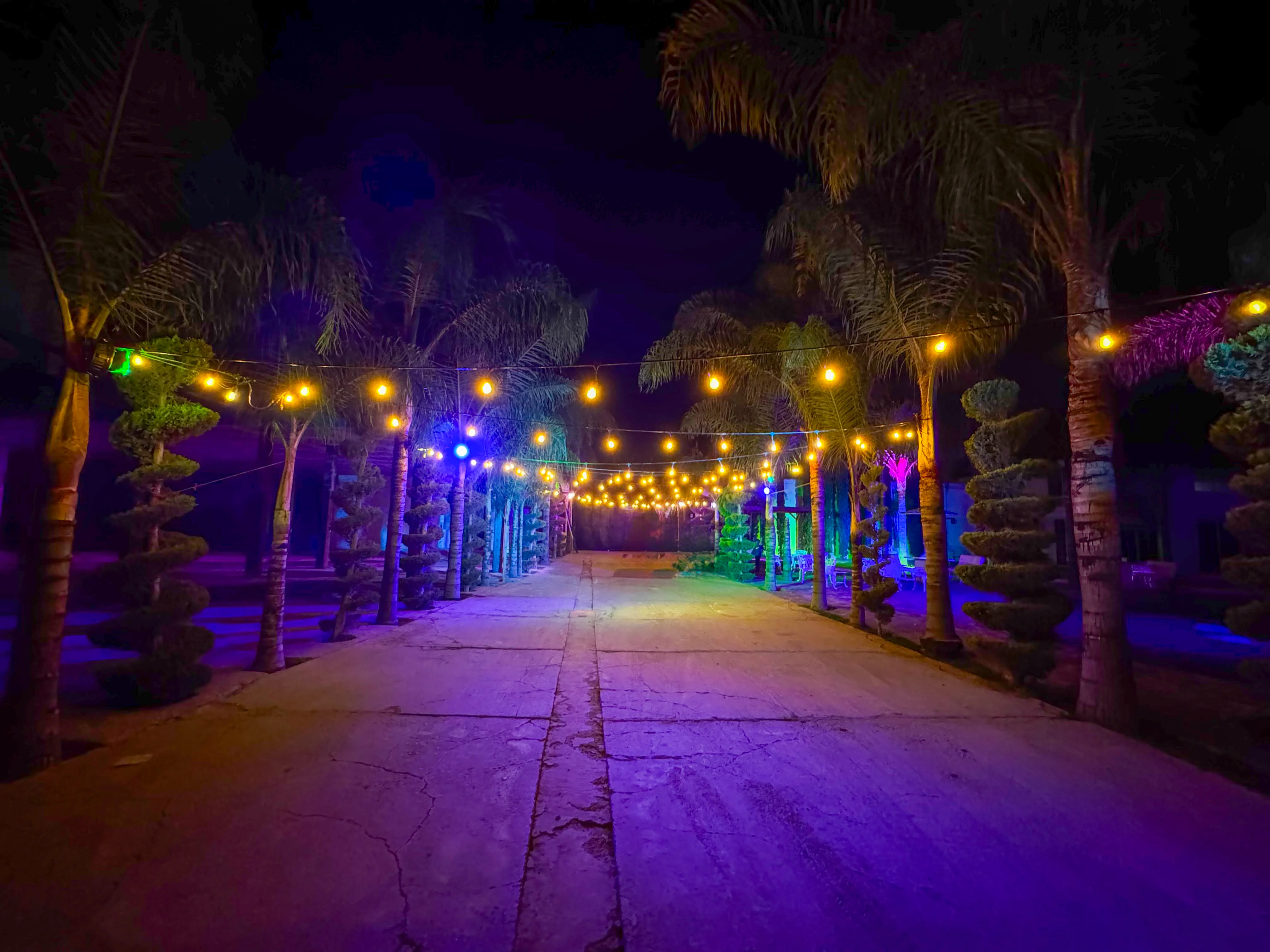 Garden Lighting en jardín